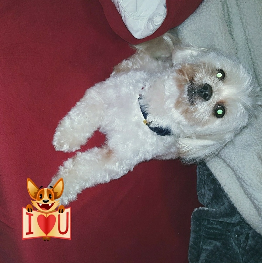 Meet your Posher, Tonija